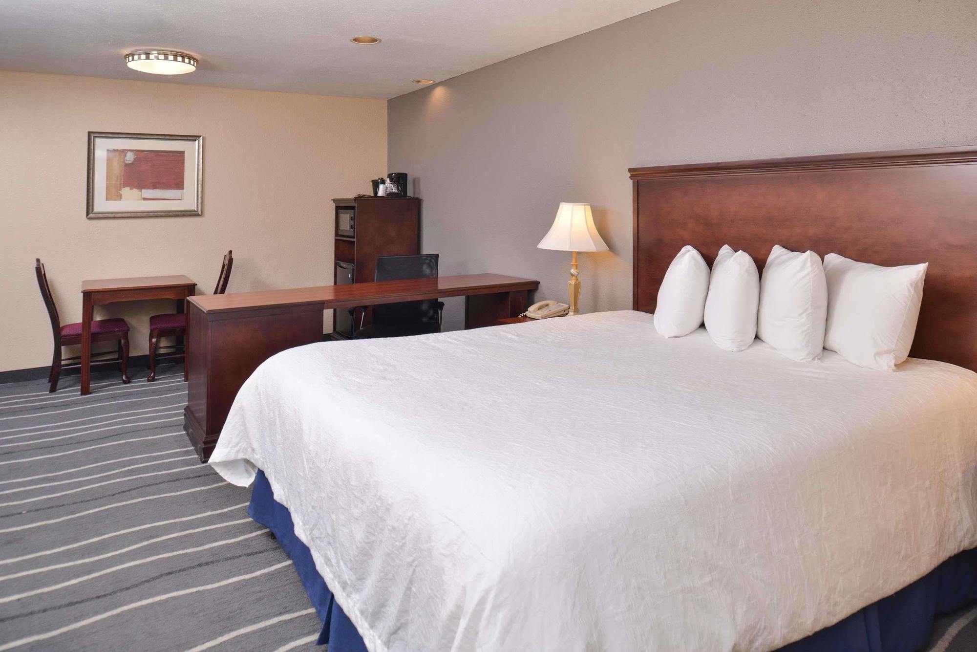 Irving Inn & Suites At Dfw Airport Екстер'єр фото
